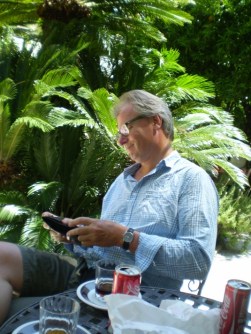 I palmers skugga Henrik tibblin